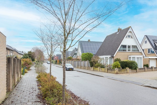 Adelaar 30 Oss (35).jpg